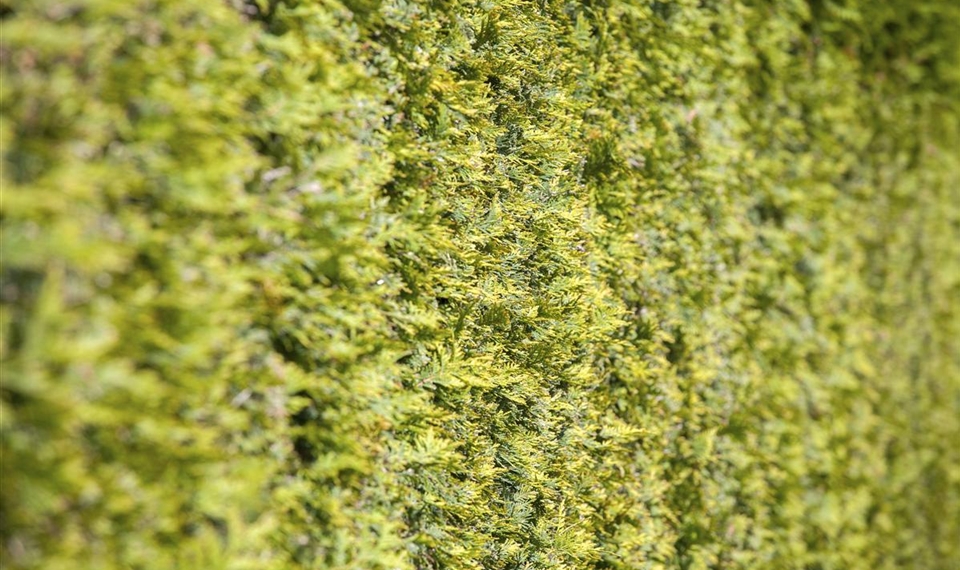 Stadtgarten Munchen Gartencenter Seebauer