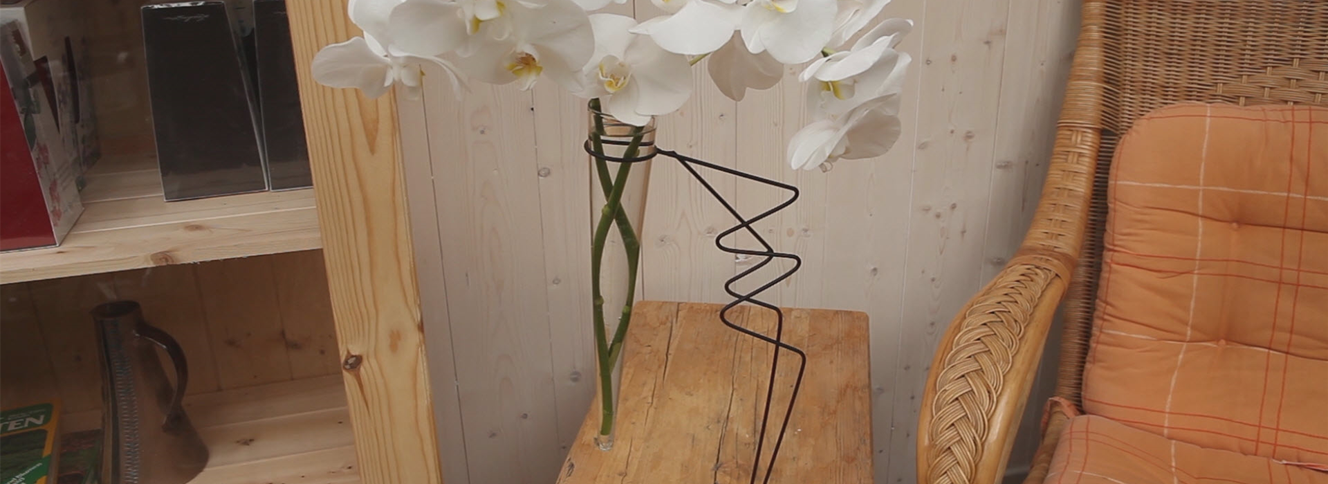 Orchidee - Anschneiden für den Heimgebrauch (thumbnail)